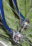 Campagnolo 50s hub