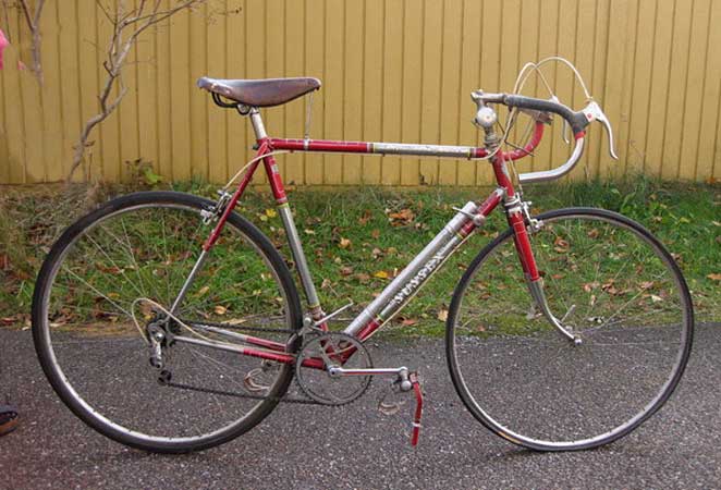 Sussex Austrian racer