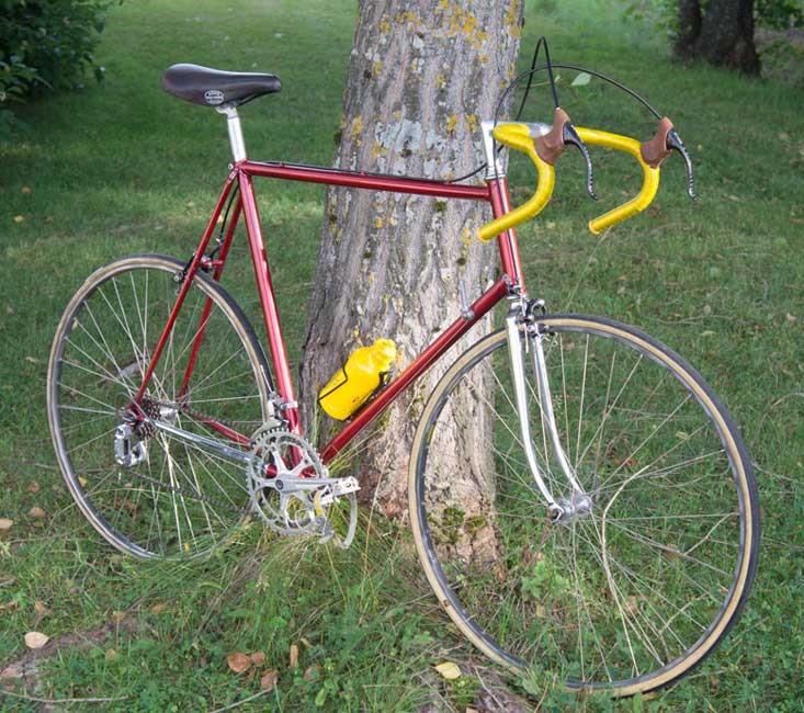 Wilier Triestina