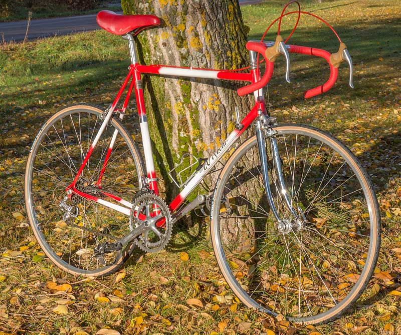 L-O cykeln