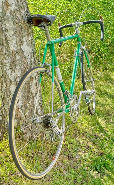 Schwinn Paramount